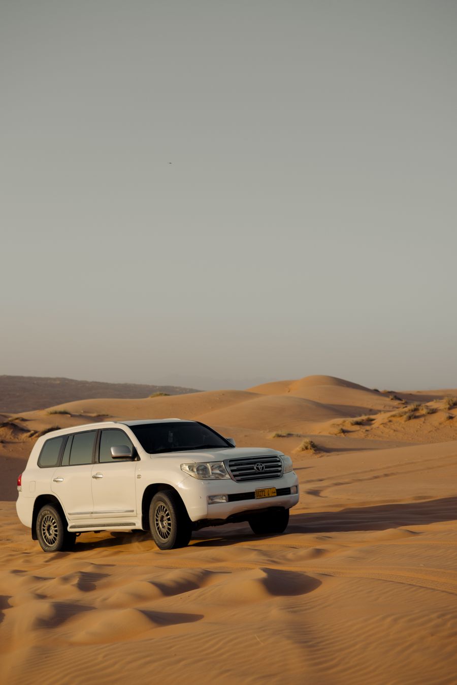 Car desert flags, Dubai